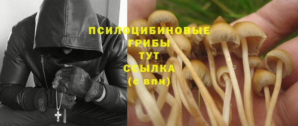 марихуана Медногорск