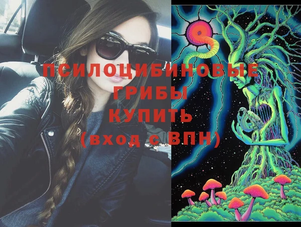 ПСИЛОЦИБИНОВЫЕ ГРИБЫ Богданович